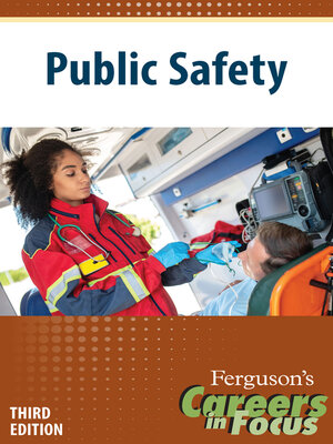 cover image of Public Safety